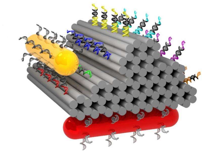 Nanotechnology: Tracking nanowalkers with light