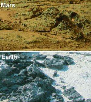 Potential signs of ancient life in Mars rover photos