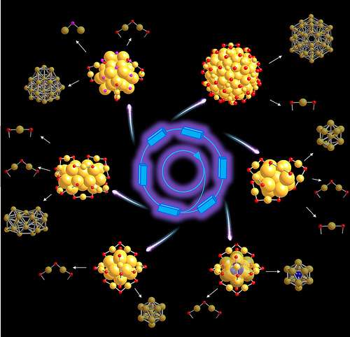 Researchers study nanogold's potential in biomedicine