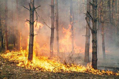 Scientists develop global model on the role of human activity and weather on vegetation fires