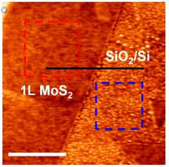 Scientists discover a better metal contact that improves two-dimensional transistor performance