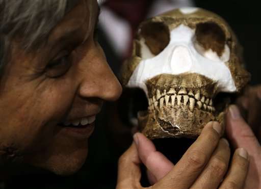 Study: Bones in South African cave reveal new human relative