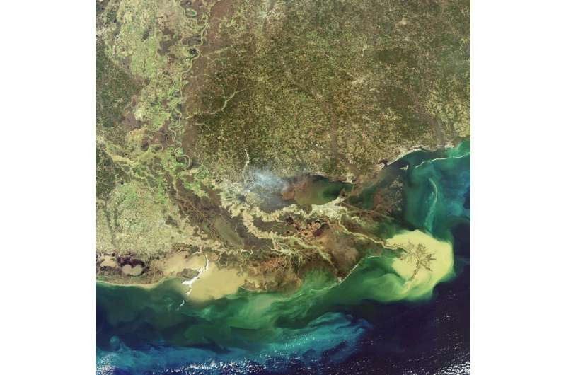 Hvad er de længste floder i verden?Mississippi-floddeltaet viste sig at dræne ind i Golfen fra rummet. Kredit: ESA