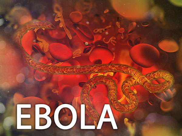Researchers propose rapid Ebola test using nanotechnology