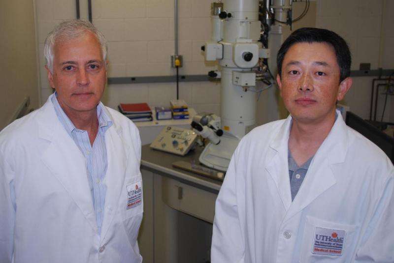 Scientists discover electrical control of cancer cell growth