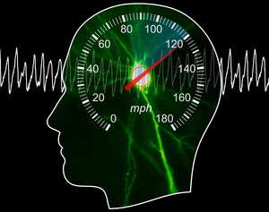 Researchers find speedometer in the brain