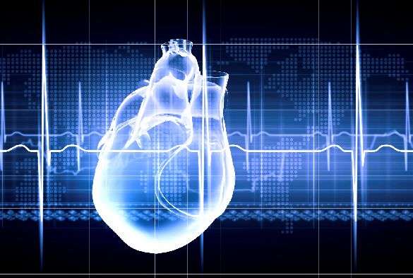 Researchers identify cause of heart damage in sepsis patients