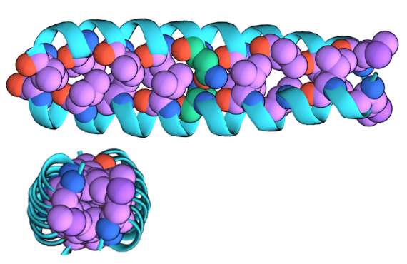 Researchers use nanoscopic pores to investigate protein structure