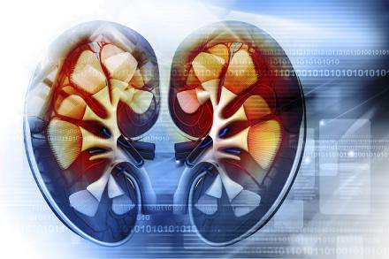 Study reveals non-invasive warning sign of kidney disease progression