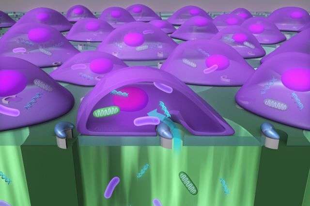 Researchers deliver large particles into cells at high speed