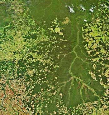 Conservation works: Forests for water in eastern Amazonia
