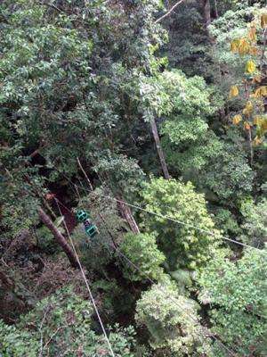 Next Google Maps adventure: Soaring through Amazon jungle