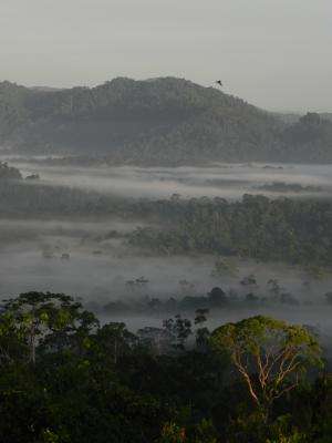 Scientists question tropical protected areas' role under climate change