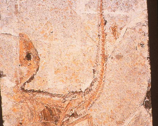 Six amazing dinosaur discoveries that changed the world