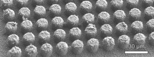 Using viruses to augment boiling and condensation processes