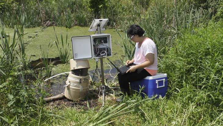 researchers use IT to study environmental sustainability of the ‘Living Filter’ water system