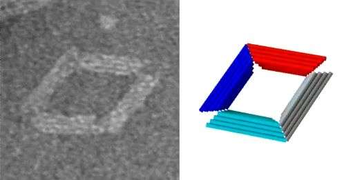 DNA origami could lead to nano 'transformers' for biomedical applications