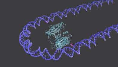 DNA nanoswitches reveal how life's molecules connect
