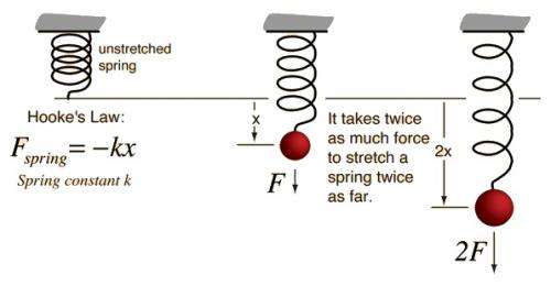 What is Hooke’s Law?