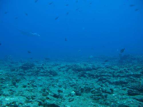 Coral reefs' physical conditions set biological rules of nature