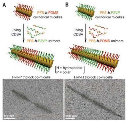 Researchers find a way to build supermicelles from simple polymers