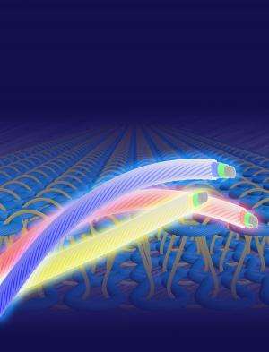 Group creates light-emitting electrochemical cell for use in textiles