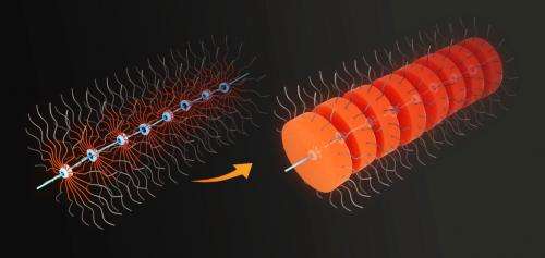 Nanoscale worms provide new route to nano-necklace structures