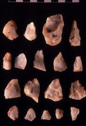 New cosmogenic burial ages for SA's Little Foot fossil and Oldowan artefacts