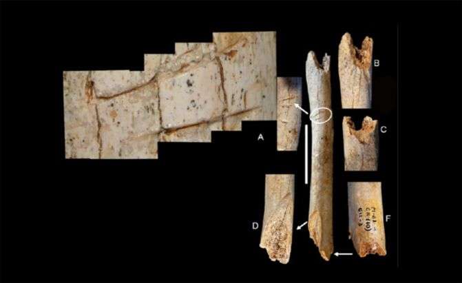 Neanderthals manipulated the bodies of adults and children shortly after death