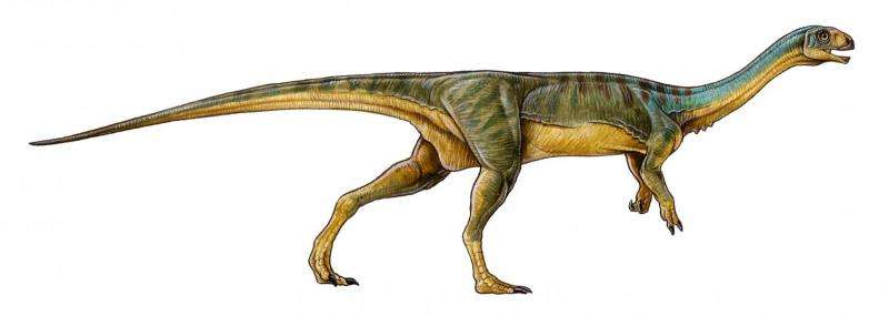 Bizarre 'platypus' dinosaur discovered