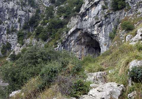 Traces of flowers placed on a Palaeolithic tomb are found