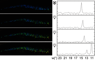 Tilting of guanine crystal arrays is key to light-induced color change in the skin of the neon tetra fish