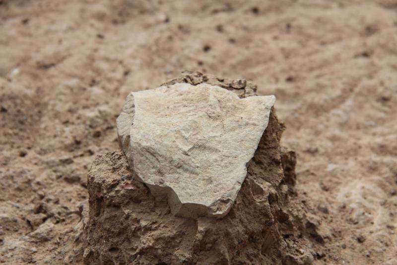 Scientists discover world's oldest stone tools