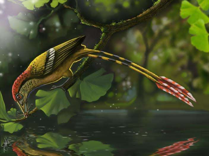 Small bird fills big fossil gap