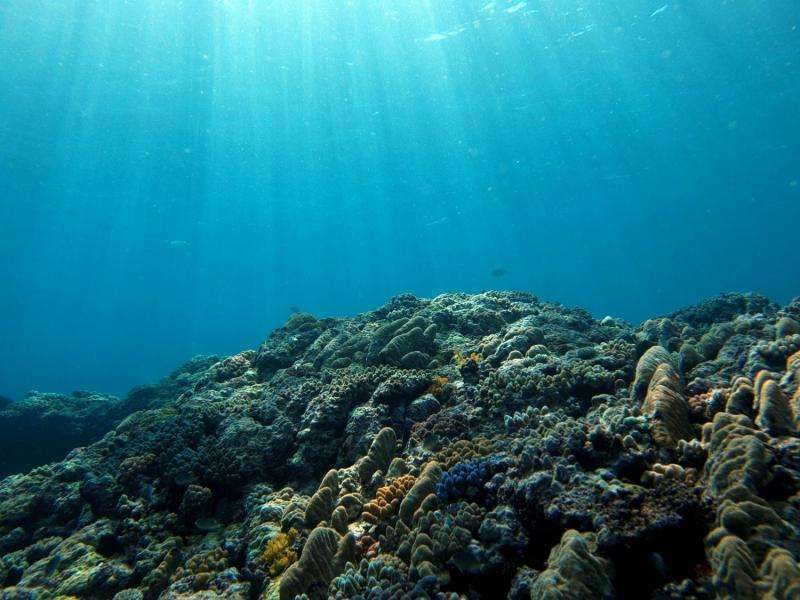 Warmer, lower-oxygen oceans will shift marine habitats