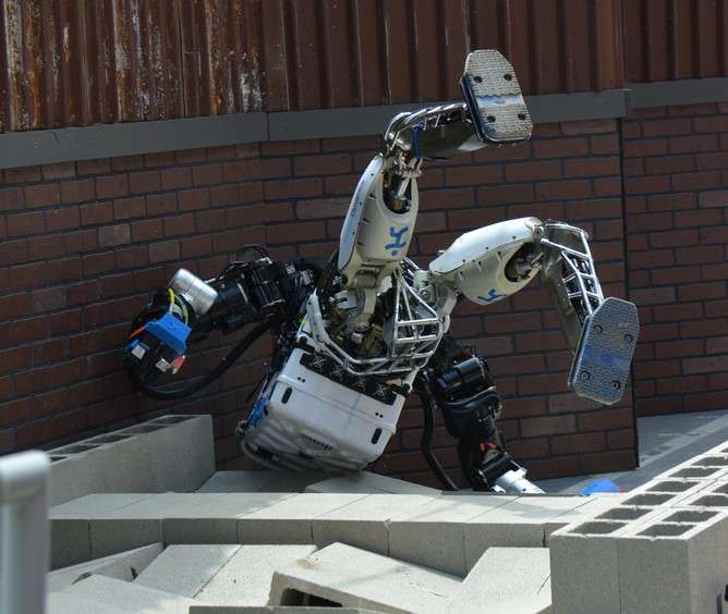 In the event of robot apocalypse, just wait for a system crash