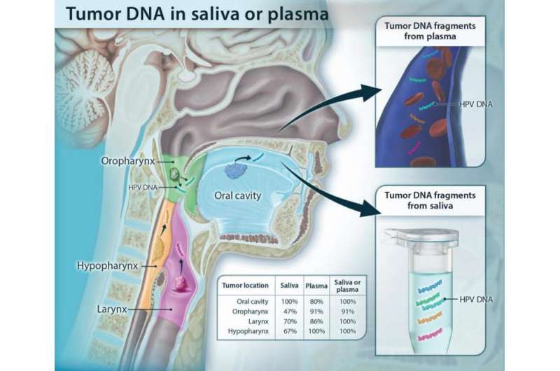 DNA shed from head and neck tumors detected in blood and saliva