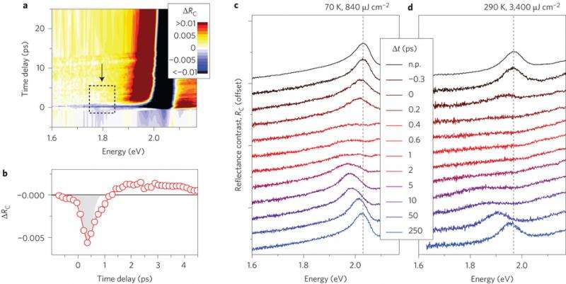 Researchers successfully control optical response of atomically thin materials on short timescale