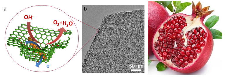 Pomegranate-like nanocomposites: the new avenue of graphene in water splitting