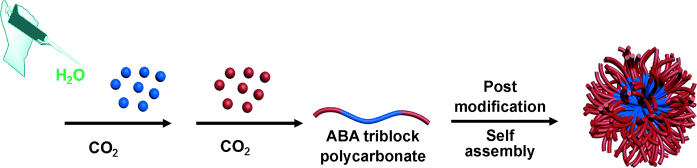 Making polymers from a greenhouse gas