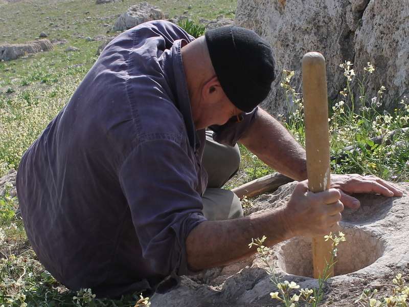 Where bread began: Ancient tools used to reconstruct -- and taste -- prehistoric cuisine