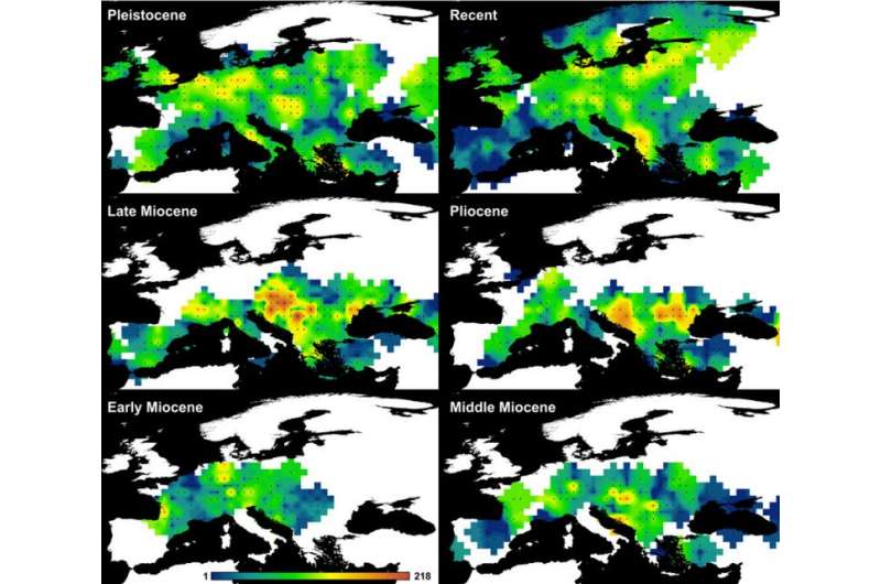 Analysis finds species diversity driven by tectonics and climate