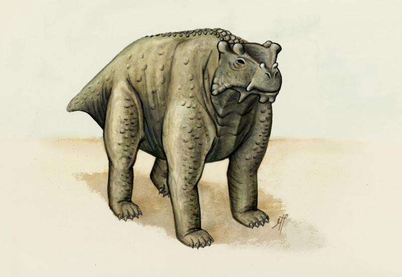 Pre-reptile may be earliest known to walk upright on all fours