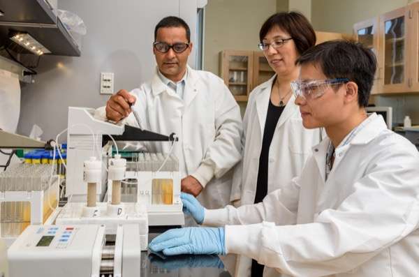 Researchers identify behaviors of nanoparticle that shows promise as nanofertilizer