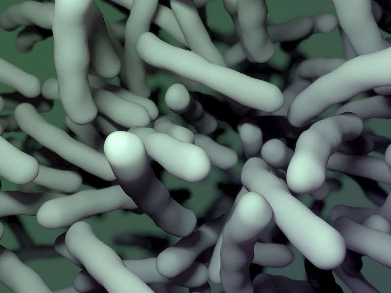 Drug disarms deadly C. difficile bacteria without destroying healthy gut flora