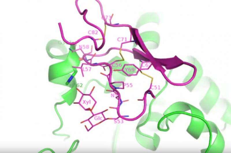 Reaction snapshots of a notch-modifying enzyme provide a basis for drug design