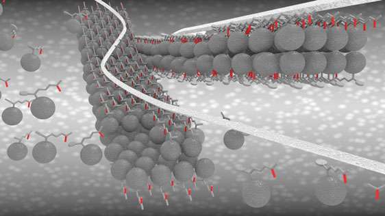 Molecular nanoribbons as electronic highways