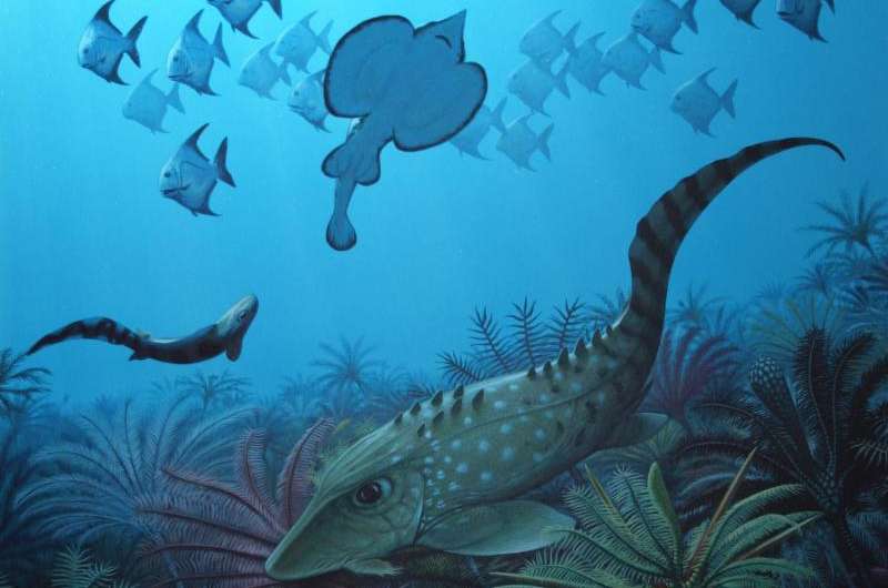 Ancient mass extinction led to dominance of tiny fish, Penn paleontologist shows