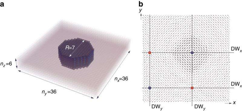 Physicists show skyrmions can exist in ferroelectrics