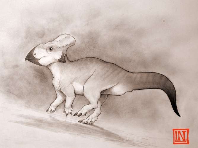 How I found a small, weird-looking horned dinosaur from eastern USA